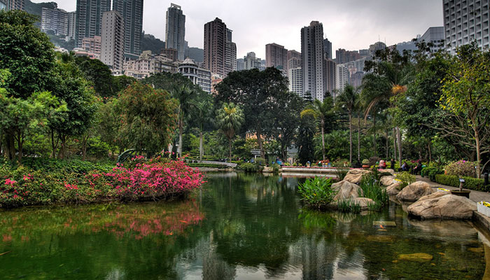 Гонконгский парк. Город Гонконг