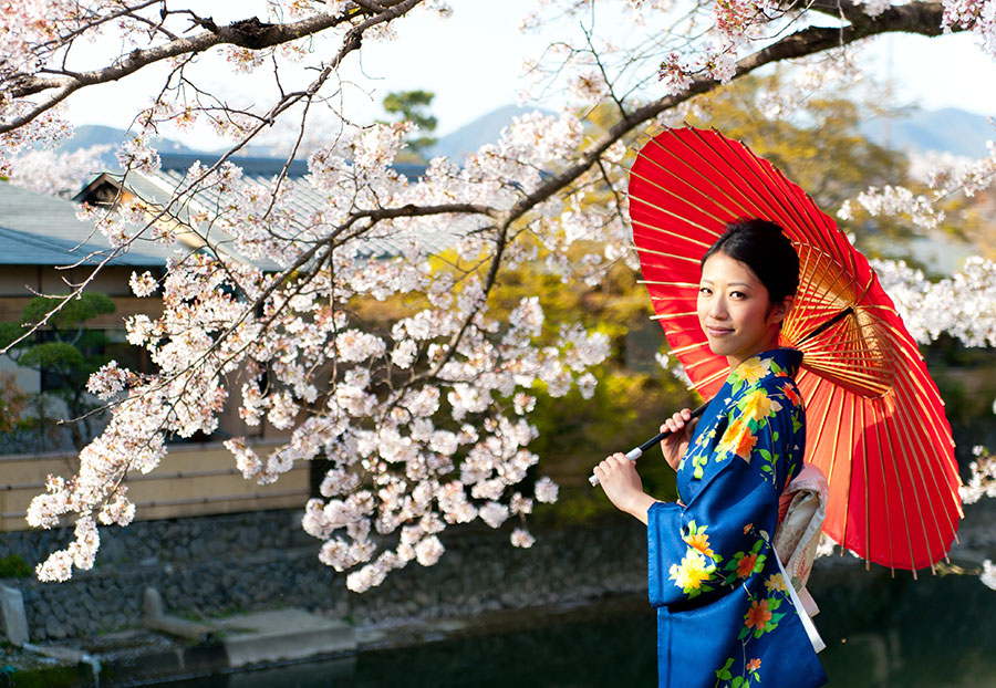 Цветение сакуры - «О-ханами» (знаменитый праздник мира)
